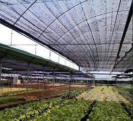 En el campo de la agricultura