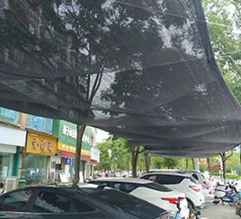 Estacionamiento