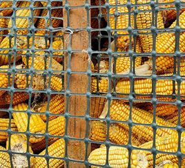 Cultivos circulares