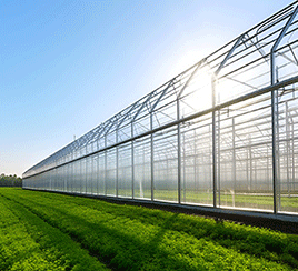 Agricultura