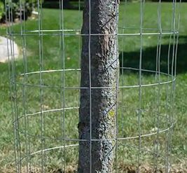 protección de árboles